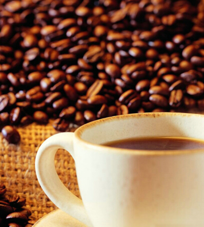 The Municipal Coffee Industry Association held its second council