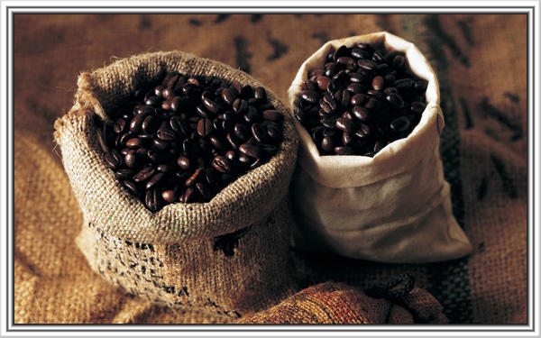 Yunnan Coffee Trading Center launched Yunnan Pu'er Coffee Trading Center Coffee spot Trading Coffee