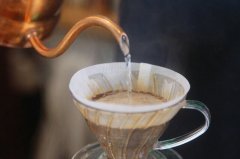 Ethiopian coffee, culture, development
