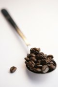 The advantages and disadvantages of coffee are refreshing and excessive damage to the body.