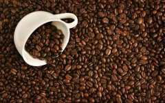 Criteria for distinguishing quality coffee