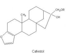 What is caffeine alcohol?