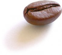 Introduction of oil production and freshness of coffee beans