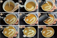 Several styles of coffee flower drawing