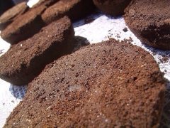 Coffee grounds may become a new source of energy?