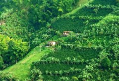Colombia spends a lot of money on protecting World Heritage Coffee Park