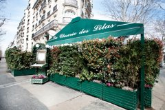 French lilac Garden Cafe