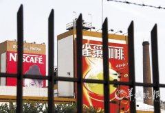 Dongguan Nestle Coffee Factory Exhaust Gas Disturbing People