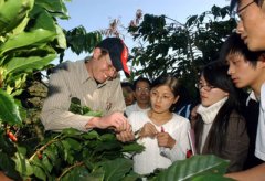 Nestle coffee expert Wu Te was awarded by Pu'er Science and Technology Association.