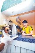 Dog Cafe