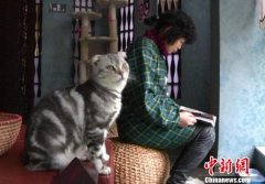 The expensive Cat Bar in Kunming sells books and coffee.
