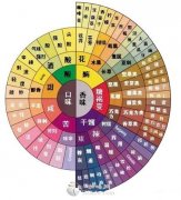 Relationship between coffee taste and extraction conditions