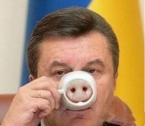 Spoof coffee cup-pig nose cup