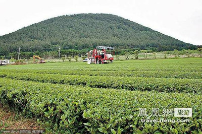 韩国济州：火山洞变咖啡厅