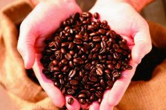 Asian producers introduced by coffee producers in the world