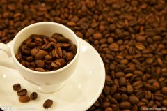Introduction of Coffee Bean varieties