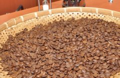 Ethiopia-Yegashifi Coffee Bean yirgacheffe