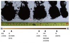 How to grind the coffee beans to the right thickness?