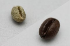 Where does coffee come from?