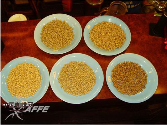 五款不同国家圆豆的对比