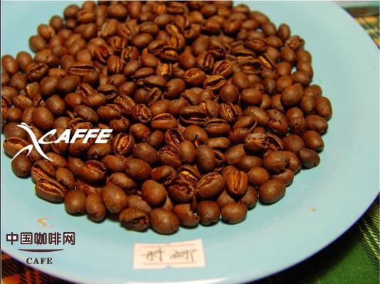 五款不同国家圆豆的对比