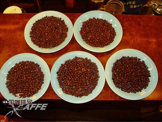 五款不同国家圆豆的对比