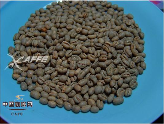 五款不同国家圆豆的对比