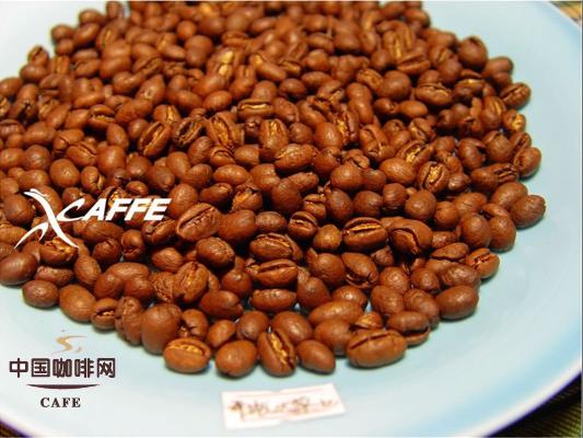 五款不同国家圆豆的对比