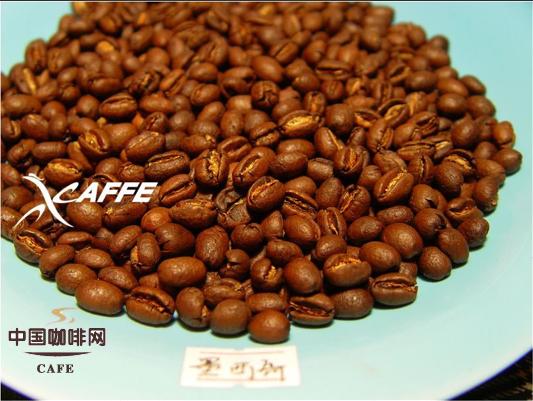 五款不同国家圆豆的对比