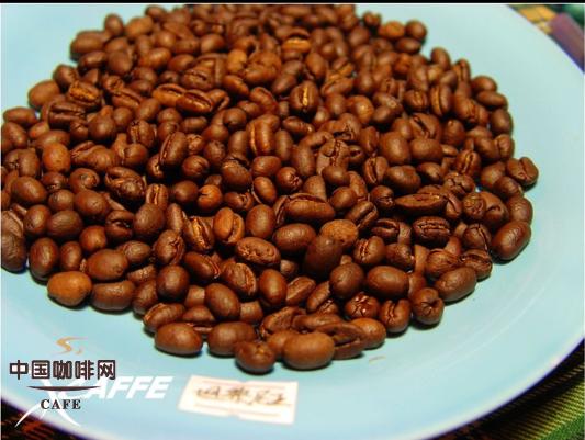 五款不同国家圆豆的对比