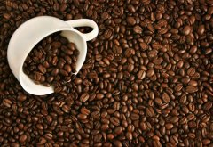 Teach you how to choose coffee beans