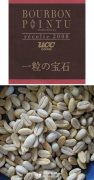 Coffee Bean King: Bourbon pointed body Bourbon Pointu