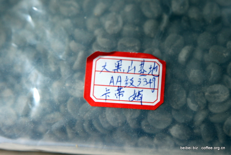 咖啡豆图片 云南咖啡品种 卡蒂姆生豆 咖啡图片 卡蒂姆