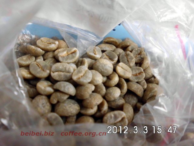 咖啡豆图片 尼泊尔Baglung巴隆 巴格隆 喜马拉雅