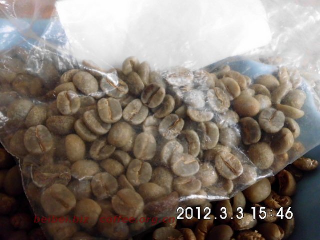 咖啡豆图片 尼泊尔Baglung巴隆 巴格隆 喜马拉雅