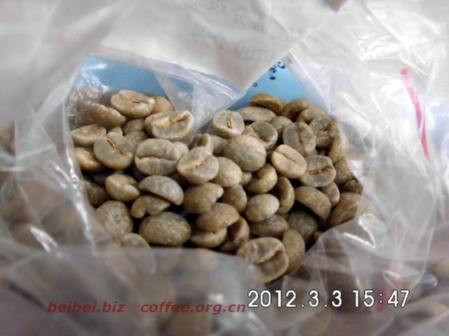咖啡豆图片 尼泊尔Baglung巴隆 巴格隆 喜马拉雅