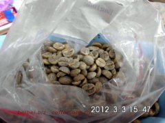 Pictures of coffee beans Nepal Baglung Balon Baglong