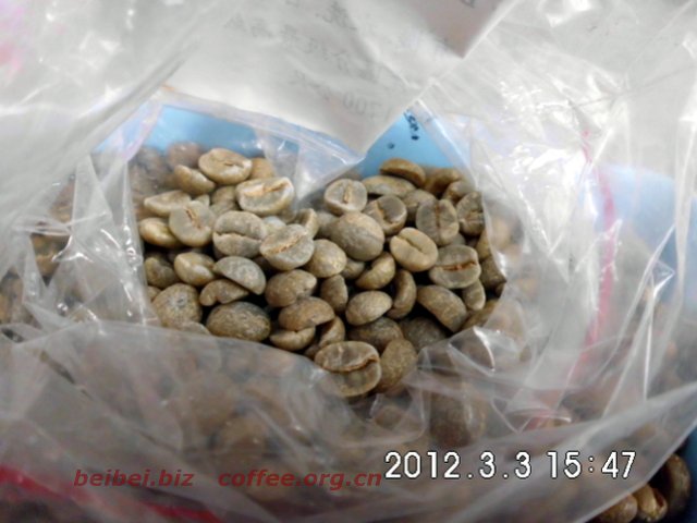咖啡豆图片 尼泊尔Baglung巴隆 巴格隆 喜马拉雅