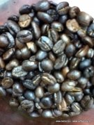 Yunnan coffee beans baked by old coffee students with Beibei No.1 coffee roaster