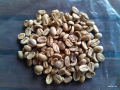 Pictures of Kopi Luwak raw beans and coffee beans