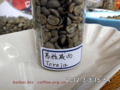 Pictures of coffee beans Indonesia Sulawesi toraja Taraga