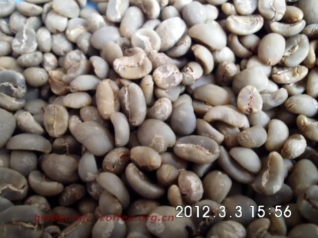 咖啡豆图片 印尼一级曼特宁grade1 曼特宁 图片 印尼 一级