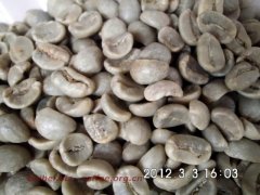 Pictures of coffee beans Indonesia rasuna Rasuna Mantenin raw beans