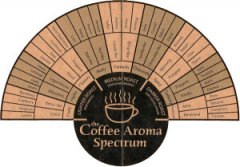 How to distinguish the aroma characteristics of coffee