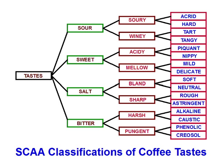 scaa-fengwei