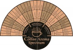 SCAA coffee cup testing process