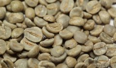 Coffee beans under macro