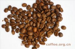 Tanzania AA Coffee Bean