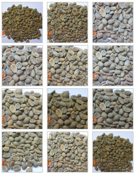 曼特宁咖啡 Sumatra Gayo Mountain grade 1 印尼水洗咖啡豆图