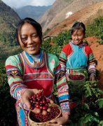 Coffee Bean Workshop in Baoshan, Yunnan